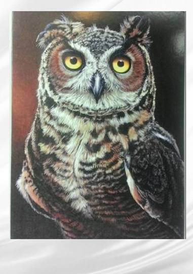Brown Owl Card and Envelope was $6 now $3 image 0